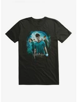 Promo ❤️ Boxlunch Harry Potter Order Of Phoenix T-Shirt 🌟