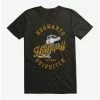 Cheapest 🥰 Boxlunch Harry Potter Hufflepuff Alumni T-Shirt 🤩 -Boxlunch shop unnamed file 227