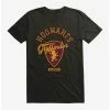Deals ✔️ Boxlunch Harry Potter Hogwarts Gryffindor Alumni T-Shirt 🥰 -Boxlunch shop unnamed file 229