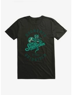 Discount 💯 Boxlunch Harry Potter Slytherin Alumni T-Shirt 💯