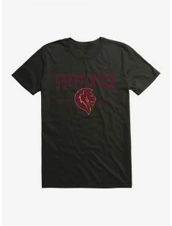 Cheapest 👏 Boxlunch Harry Potter Gryffindor Quidditch Symbol T-Shirt 🛒