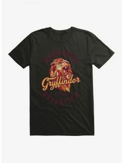 Buy 👏 Boxlunch Harry Potter Gryffindor Alumni T-Shirt 🔔