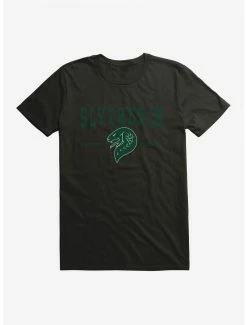 Best Sale 🌟 Boxlunch Harry Potter Slytherin Quidditch Symbol T-Shirt 🤩
