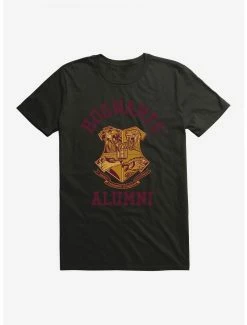Wholesale 🔔 Boxlunch Harry Potter Hogwarts Alumni T-Shirt 😀