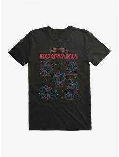 Wholesale 🧨 Boxlunch Harry Potter Hogwarts Patronus T-Shirt 🛒