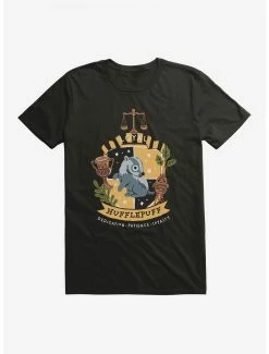 Brand new ⭐ Boxlunch Harry Potter Hufflepuff Loyal T-Shirt 🔔
