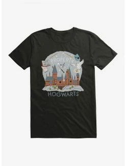 Cheapest 😉 Boxlunch Harry Potter Hedwig Property Of Hogwarts T-Shirt 😉