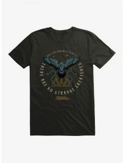 Brand new 🥰 Boxlunch Fantastic Beasts: The Crimes Of Grindelwald Thunderbird T-Shirt 🔥