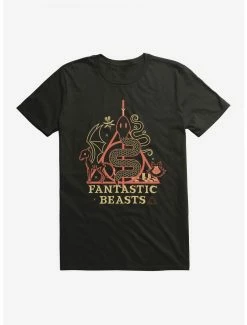 Deals 🔥 Boxlunch Fantastic Beasts And Where To Find Them Deathly Hallows Serpent T-Shirt 🔥