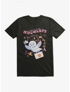 Best Sale ✨ Boxlunch Harry Potter Letter From Hogwarts T-Shirt 🤩