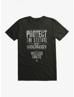 Budget 🤩 Boxlunch Harry Potter: Wizards Unite Statute Of Secrecy T-Shirt 😍